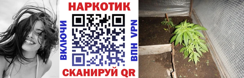 Где купить наркоту Люберцы Галлюциногенные грибы Кокаин Меф ГАШИШ Alpha-PVP