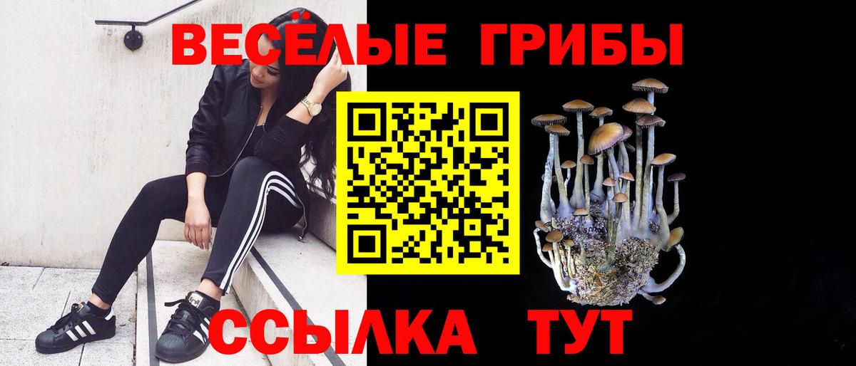 Люберцы  Псилоцибиновые грибы мухоморы  Псилоцибиновые грибы Psilocybine cubensis  Вход с VPN 